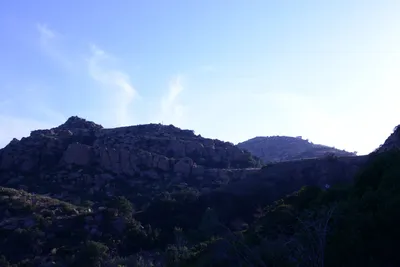 DSC_2100 (Large).JPG